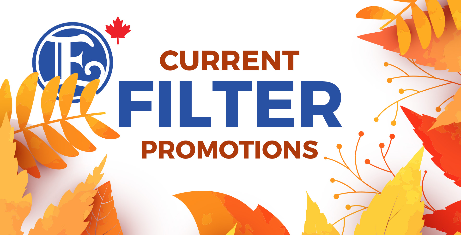 Enagic CA filter promos